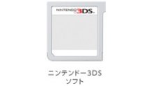 3DS-NW_4