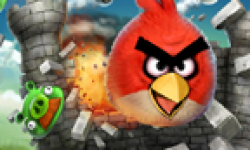 Angry Birds head 1