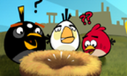 Angry Birds head 2