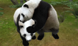 Animal Resort head 4