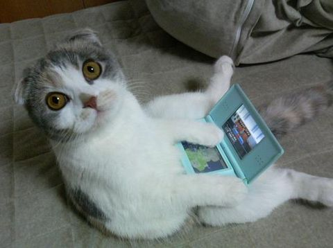 Chat-console-DS-nintendo