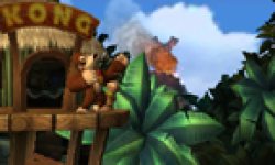 Donkey Kong Country Returns 3D 14 02 2013 head 2