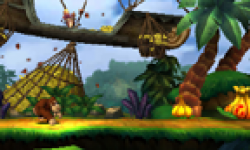 Donkey Kong Country Returns 3D 14 02 2013 head 3