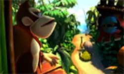 Donkey Kong Country Returns 3D head
