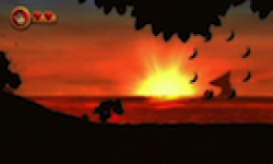 Donkey Kong Country Returns 3D vignette Donkey Kong Country Returns 3D
