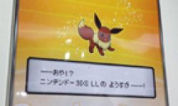 Evoli 3DS XL head