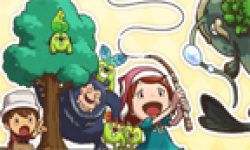 Fantasy Life head 3
