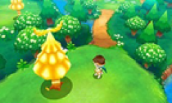 Fantasy Life Link 25 05 2013 head 4