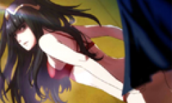 Fire Emblem Awakening 05 05 2013 censure head
