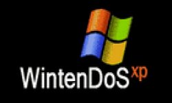 ICON0 WintenDoS