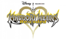 Kingdom Hearts re coded head