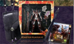 Monster Hunter 4 05 06 2013 collector head