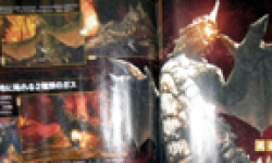 Monster Hunter 4 26 06 2013 scan head