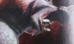 Monster Hunter 4 vignette monster hunter 4 2