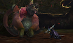 Monster Hunter 4 vignette monster hunter 4 3