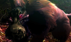 Monster Hunter 4 vignette Monster Hunter 4 6
