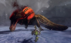 monster hunter tri g nintendo 3ds vignette head