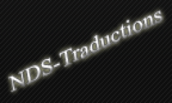 nds traductions logo