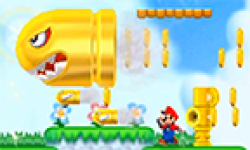 new super mario bros 2 vignette head