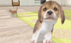 Nintendogs + Cats head 1