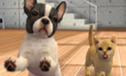 Nintendogs + Cats head 3