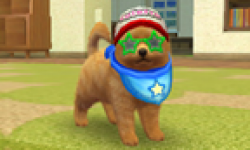 Nintendogs + Cats head 6
