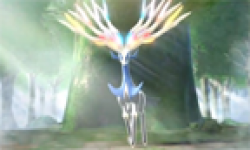Pokemon X Y 08 01 13 head 4