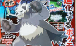 Pokemon X Y 11 07 2013 scan head