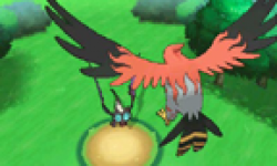 Pokemon X Y 12 06 2013 head