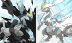 Pokémon Blanc Noir 2 26 02 2012 head