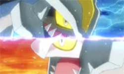 Pokémon Blanc Noir Version Blanche Noire 2 15 05 2012 head 6