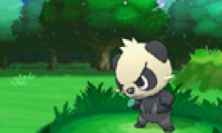 Pokémon X Y 15 05 2013 head 1