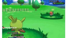 Pokémon-X-Y_15-05-2013_screenshot-13