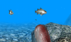 Reel Fishing Paradise 3D head 1