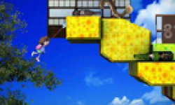 Sayonara Umihara Kawase 11 03 2013 head 1