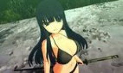 senran kagura vignette