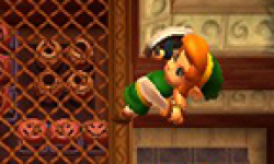 the legend of zelda 3ds link to the past vignette head