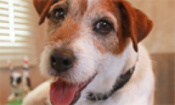 Uggie Artist head