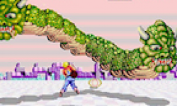 vignette 3D Space Harrier
