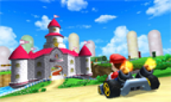vignette icone head mario kart 3d chateau