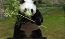 vignette icone head zoo mania panda bambou
