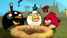 Angry-Birds_head-2