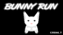 bunny_run-v1_etiquette