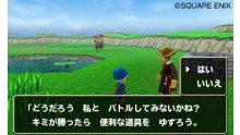 Dragon-Quest-Monsters-Terry\'s-Wonderland_29-04-2012_screenshot-2
