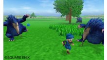 Dragon Quest Monsters- Terry\'s Wonderland 3D images screenshots 006.jpg