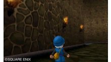 Dragon Quest Monsters- Terry\'s Wonderland 3D images screenshots 018.jpg