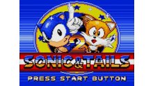 Images-Screenshots-Captures-Game-Gear-Sonic-Tails-320x240-03032011-02