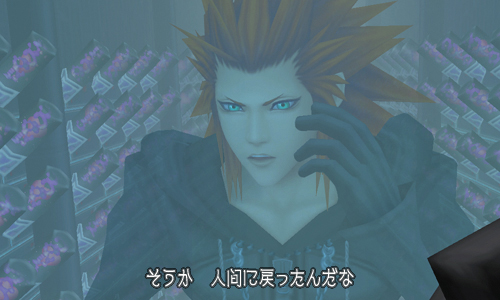 Kingdom Hearts 3D Dream Drop Distance images screenshots 066