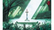 Legend-of-Zelda-25-Anniversaire_08-08-2011_wallpaper-1