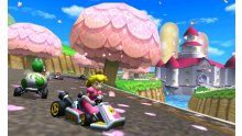 Mario-Kart-7_screenshot-9